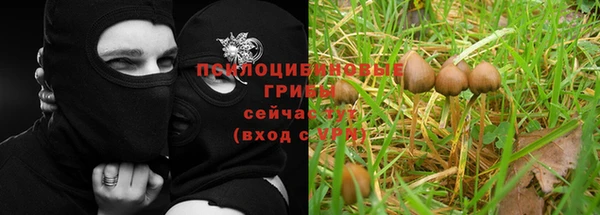 винт Карталы