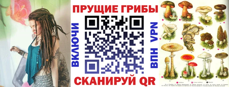 Псилоцибиновые грибы Cubensis  Купить закладки  Грязовец 